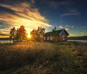 Norwegia, Ringerike, Drzewa, Zachód Słońca, Dom, Trzciny, Jezioro