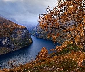 Fiord Geirangerfjorden, Norwegia, Drzewa, Jesień, Góry