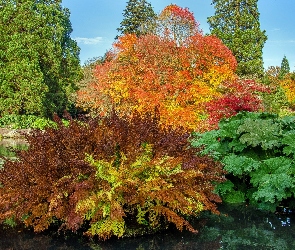 Park United Kingdom Parks Pond Trees Shrubs Sheffield Park