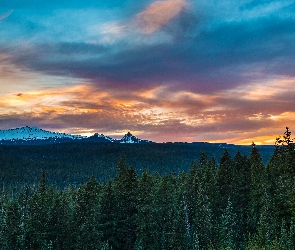 Góry, Las, Chmury