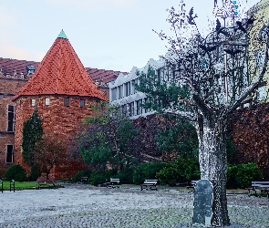 Gdańsk, Miasto, Ławki, Plac, Rzeźba, Drzewo, Budynki