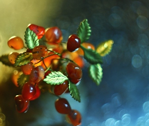 Kolorowe, Makro, Bokeh, Kamienie, Drzewko Szczęścia