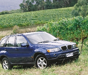 Bmw X5, E53