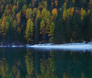 Las, Kościół, Jezioro