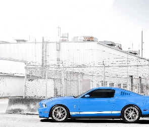 GT 500, Shelby, Błękitny, Mustang