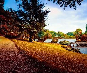 Jesień, Staw, Park