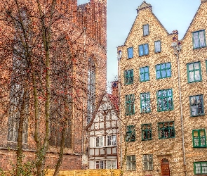 Kościół, HDR, Drzewa, Kamieniczki, Gdańsk