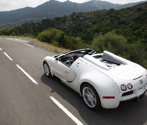 Biały, Cabrio, Bugatti Veyron