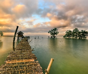 Jezioro, Pomost, Drzewa