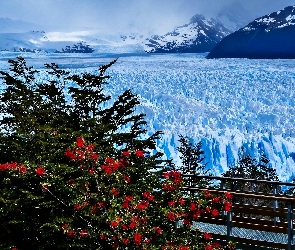 Zima, Perito Moreno, Lodowiec