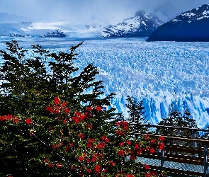 Argentyna, Prowincja Santa Cruz, Lodowiec, Zima, Perito Moreno, Park Narodowy Los Glaciares