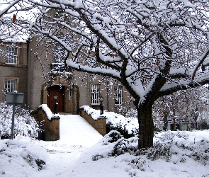 Śnieg, Drzewo, Zima, Dom