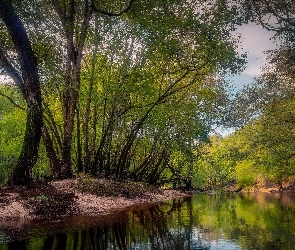 Las, Rzeka