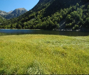 Góry, Rzeka, Lato, Las, Łąka