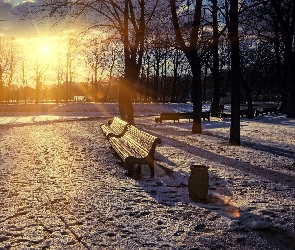 Słońca, Promienie, Zima, Park, Staw, Ławki