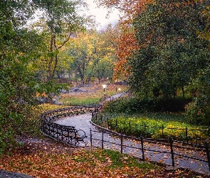 Park, Alejka, Jesień, Drzewa, Liście, Kwiaty