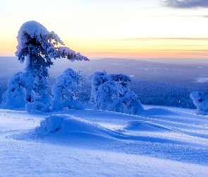 Śnieg, Chmury, Wzgórza, Drzewa