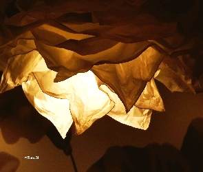Kwiat, Światło