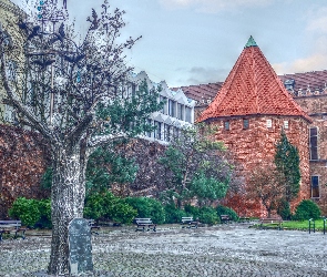 Budynki, HDR, Tabliczka, Drzewo, Gdańsk