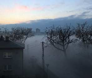 Mgła, Miasto