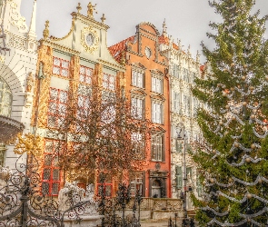 Kamienice, Choinka, Stare Miasto, HDR, Neptun, Gdańsk, Posąg