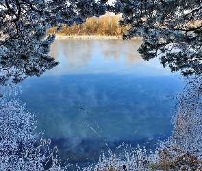 Zmrożone, Zima, Krzewy, Drzewa, Jezioro