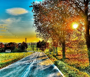 Droga, Wschód Słońca, Drzewa, Dom