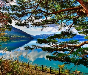 Japonia, Akita, Jezioro, Góry, Tazawa Lake, Drzewa