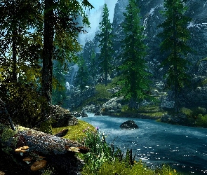 Kamienie, The Elder Scrolls V Skyrim, Drzewa Gra, Rzeczka, Skały