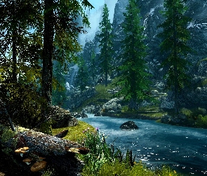 Skały, The Elder Scrolls V Skyrim, Rzeczka, Drzewa Gra, Kamienie