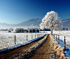 Zima, Droga, Szron, Drzewa, Śnieg, Góry