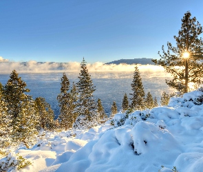 Zima, Jezioro, Kalifornia, Promienie Słońca, Drzewa, Tahoe