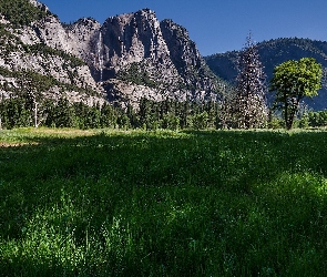 Las, Łąka, Góry