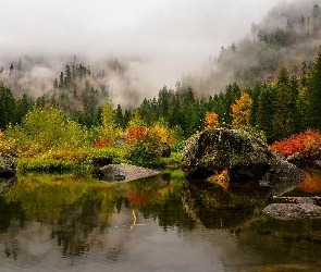 Jesień, Kamienie, Las, Mgła, Jezioro