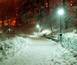 Zima, Park, Śnieg