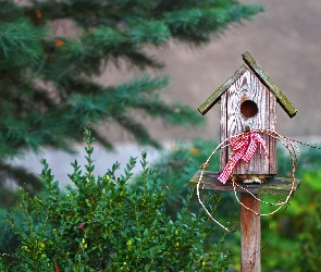 Budka, Rośliny, Kokarda, Czerwona, Karmnik