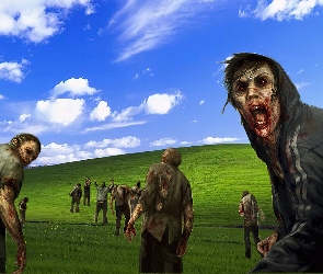 Zombie, Windows