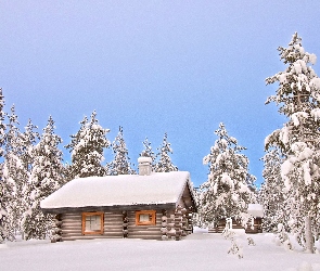Zima, Śnieg, Ośnieżone, Drzewa, Dom