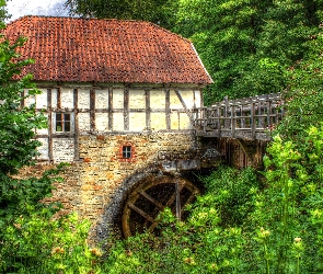 Drzewa, HDR, Młyn