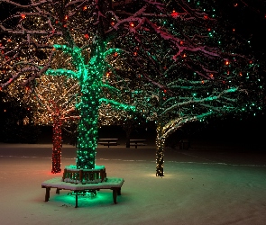 Oświetlone, Park, Zima, Śnieg, Drzewa