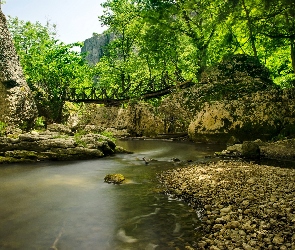 Bułgaria, Kamienie, Drzewa, Rzeka