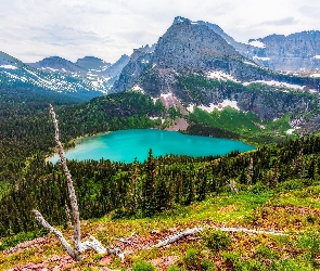 Góry, Park Narodowy, Jezioro, Montana, Lasy