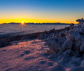 Śnieg, Wschód słońca, Zima