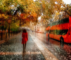 Jesień, Deszcz, Parasol, Autobus, Kobieta, Ulica