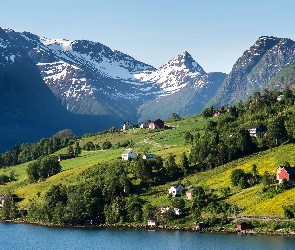 Norwegia. Góry, Domy, Drzewa