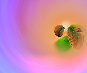 Abstrakcja, Grafika