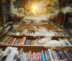 Chmury, Ptaki, Biblioteka