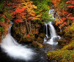 Jesień, Japonia, Wodospad, Ryuzu, Las