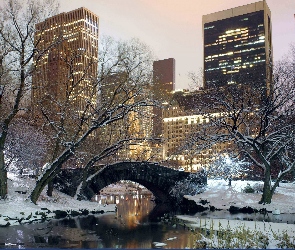 Zima, USA, Park, Nowy Jork
