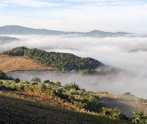 Góry, Mgły, Lasy, Jezioro